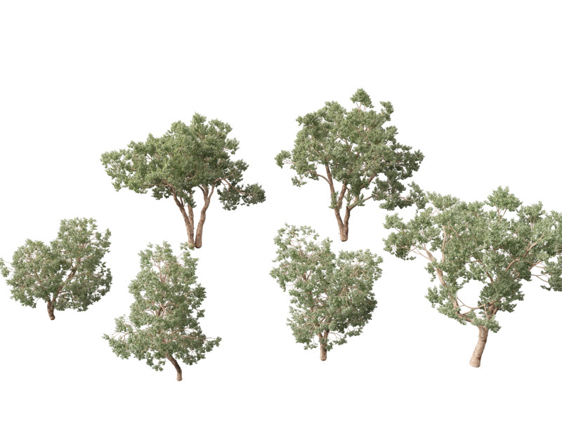 Https--3dgardenplantsgumroadcom- Modello 3D .c4d .max .obj .3ds .fbx .stl .blend 