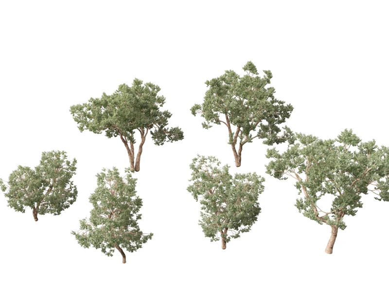 Https--3dgardenplantsgumroadcom- 3D Model .c4d .max .obj .3ds .fbx .stl .blend