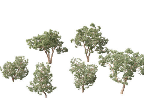 Https--3dgardenplantsgumroadcom- 3D Model