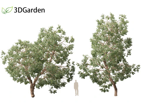 Https--3dgardenplantsgumroadcom- 3D Model