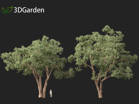 Https--3dgardenplantsgumroadcom- 3D Model