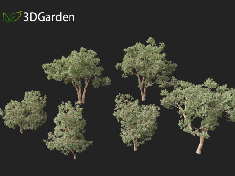 Https--3dgardenplantsgumroadcom- Modello 3D