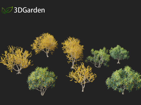 Sophora microphylla - New Zealand Christmas tree Modelo 3D