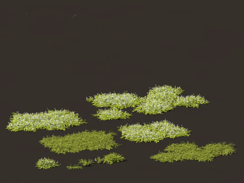 Isotoma fluviatilis &ndash; pnącze błękitnogwiazdkowe Model 3D