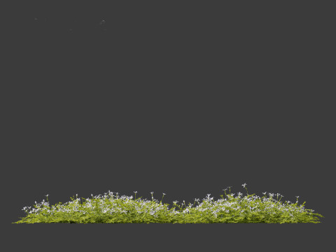 Isotoma fluviatilis - blue star creeper Modelo 3D