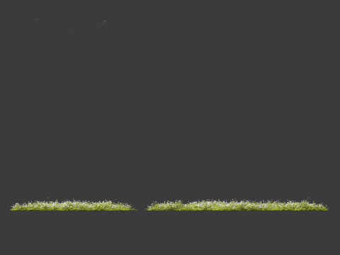 Isotoma fluviatilis - blue star creeper Modelo 3D