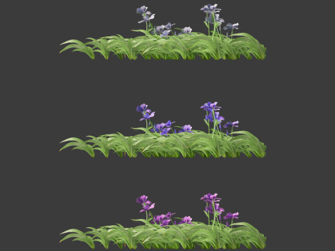 Iris tectorum - Roof iris 3D Model