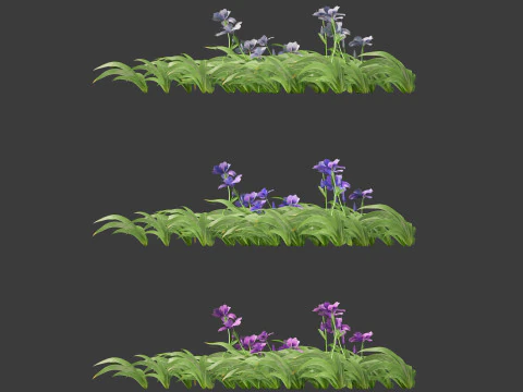 Iris tectorum - Roof iris 3D Model