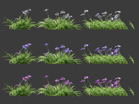 Iris tectorum - Roof iris 3D Model