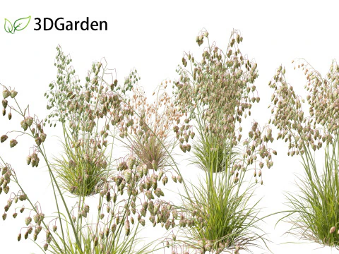 ब्रिज़ा मीडिया - सामान्य क्वेकिंग घास 01 3D मॉडल