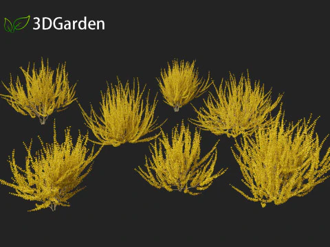 Forsythia x intermedia Golden Bells - Border Forsythia 3D Model