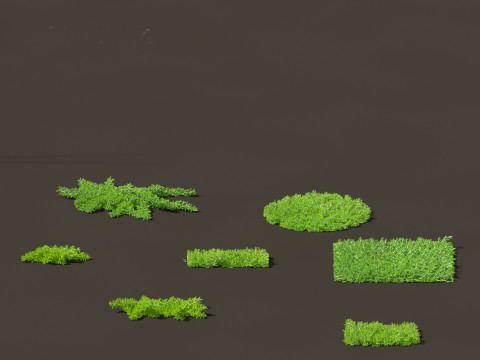Juniperus procumbens - Japanese garden juniper 3Dモデル