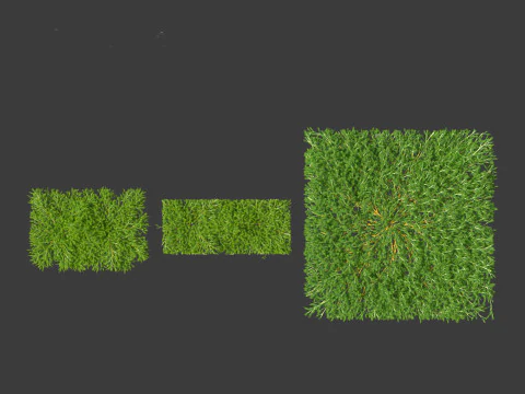 Juniperus procumbens - 日本庭園のジュニパー 3Dモデル