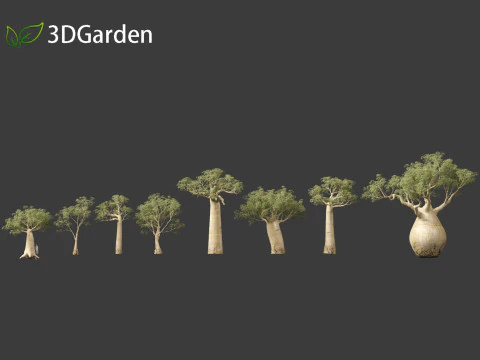 Adansonia digitata - Baobab 01 - 04 3D Model