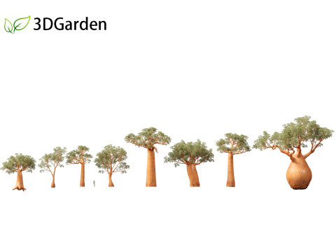 Adansonia digitata - Baobab 01 - 04 3D Модель