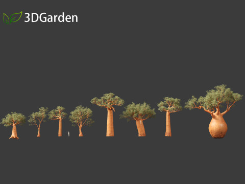 Adansonia digitata - Baobab 01 - 04 3D Модель