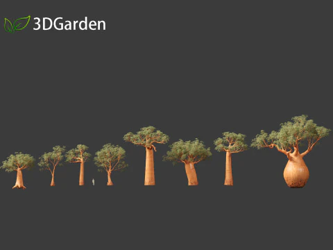 Adansonia digitata - Baobab 01 - 04 3D Model