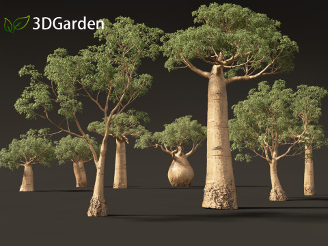 Adansonia digitata - Baobab 01 - 04 3D Model