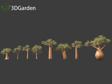 Adansonia digitata - Baobab 01 - 04 3D Модель