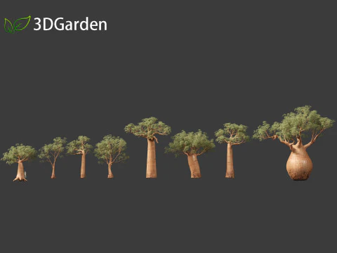 Adansonia digitata - Baobab 01 - 04 3D Model