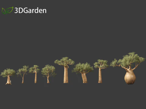 Adansonia digitata - Baobab 01 - 04 3D Model