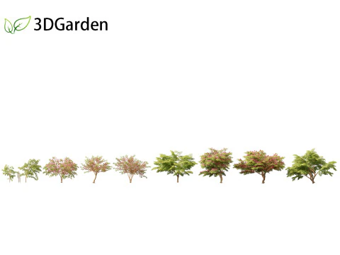 Cassia javanica - albero in fiore di melo Modello 3D