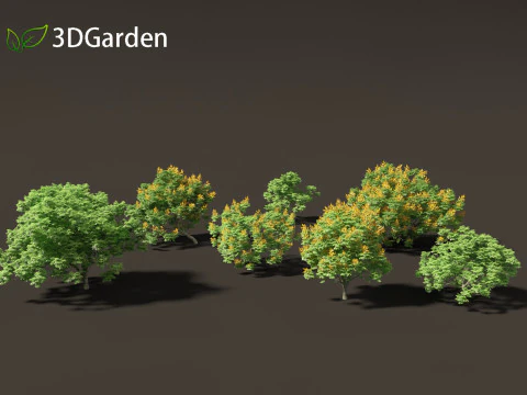 Peltophorum pterocarpum - Chama Amarela Modelo 3D