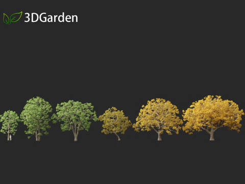 Quercus macrocarpa - Bur oak 3D Model