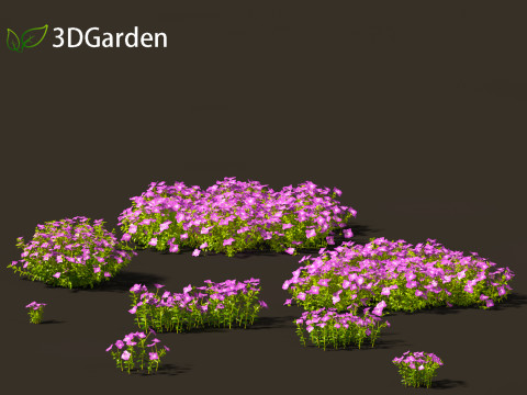 Vinca minor - Common Periwinkle Modèle 3D