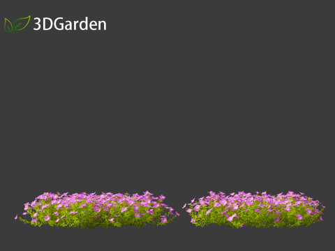 Vinca minor - Common Periwinkle Modello 3D