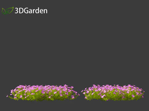 Vinca minor - Common Periwinkle 3D Model