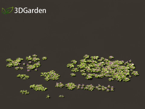 Mazus pumilus - japanese mazus 3D 모델