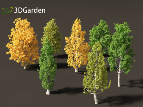 Quercus robur - English oak 3D 模型