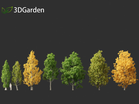 Quercus robur - English oak 3D 模型