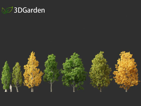 Quercus robur - English oak 3D Model