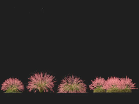 ミューリーグラス - ピンクのミューリーグラス 3Dモデル