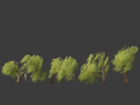 Salix babylonica - Weeping willow 10 Modelo 3D