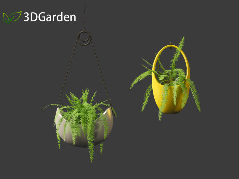 Nephrolepis cordifolia - Tuberous sword fern 02 3D 模型