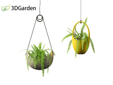 Nephrolepis cordifolia - Tuberous sword fern 02 3D 模型