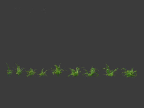 Microlepia strigosa -hay-scented fern 01 3D Модель