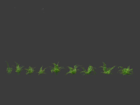 Microlepia strigosa -hay-scented fern 01 3D Model
