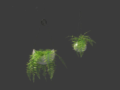 Microlepia strigosa -hay-scented fern 02 3D Model