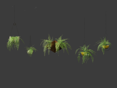 Microlepia strigosa -hay-scented fern 02 Model 3D