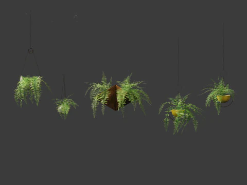 Microlepia strigosa -hay-scented fern 02 3D Model
