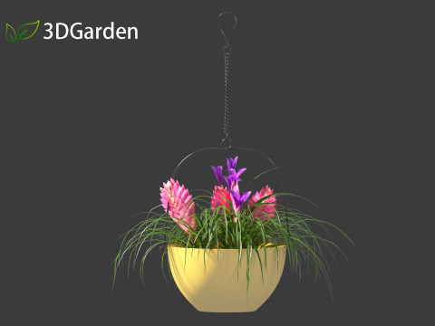 Tillandsia Cyanea - Pink quill 02 3D-Modell
