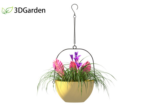 Tillandsia Cyanea - Pink quill 02 3D-Modell