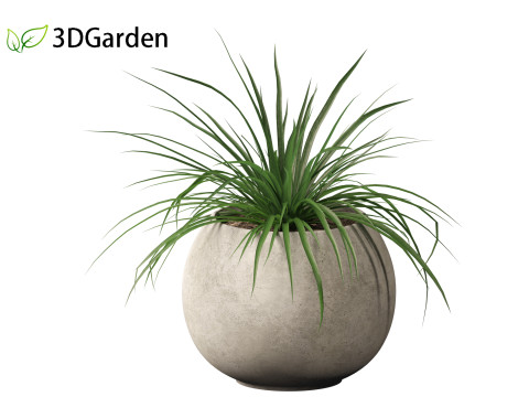 Tillandsia Cyanea - Pink quill 02 3D-Modell