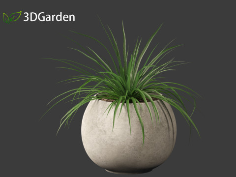 Tillandsia Cyanea - Pink quill 02 3D-Modell