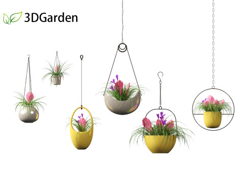 Tillandsia Cyanea - Pink quill 02 3D-Modell