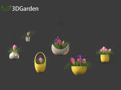 Tillandsia Cyanea - Pink quill 02 3D-Modell
